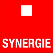 synergie logo vzw de steiger
